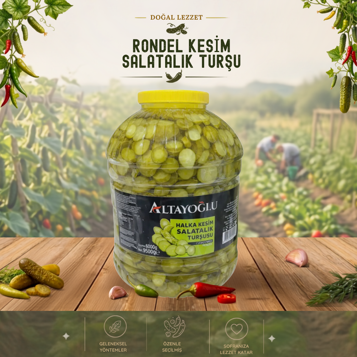 10/1 KG PET Rondel Kesim Salatalık Turşu (6 KG)