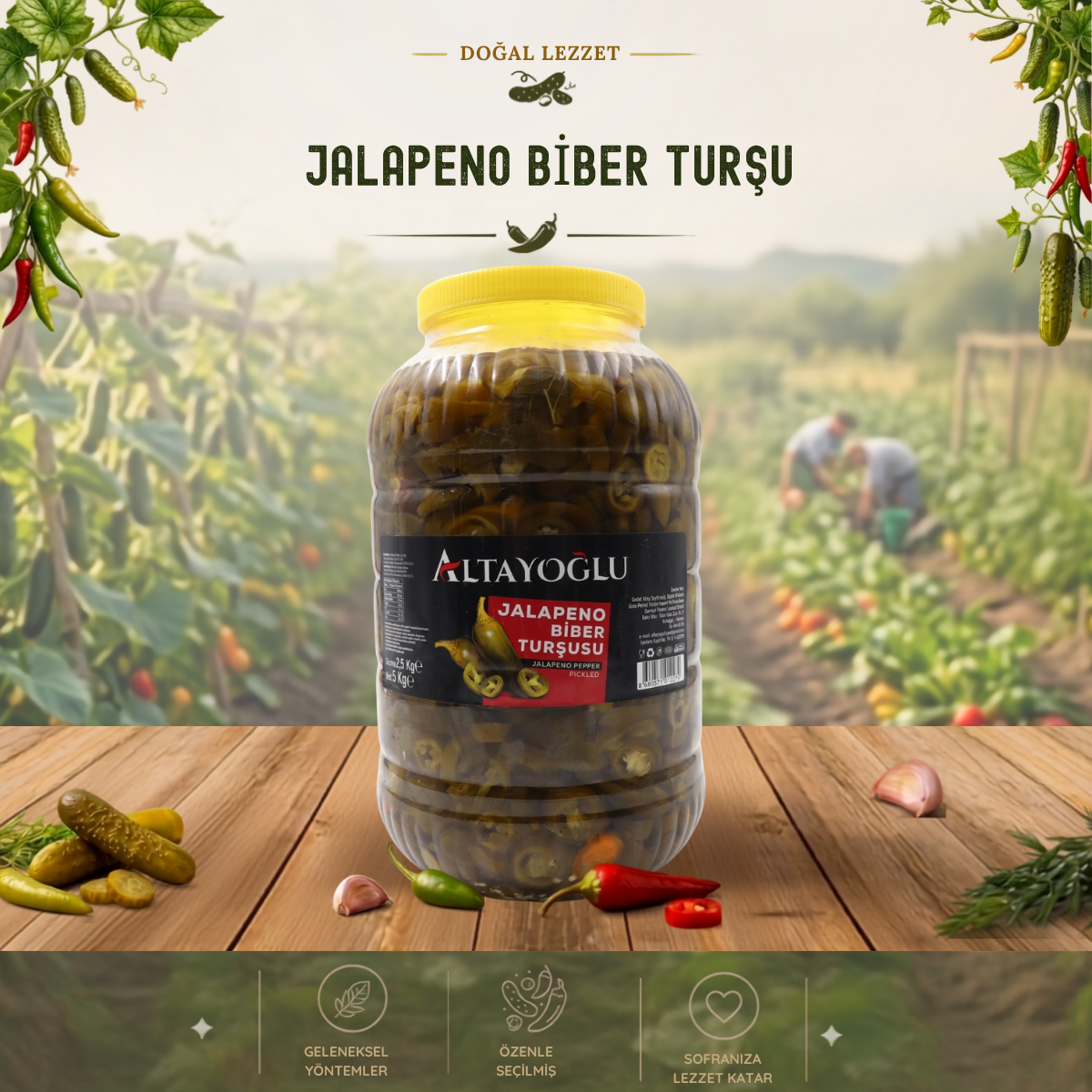 5000 cc Jalapone Turşu (2500 Gr)