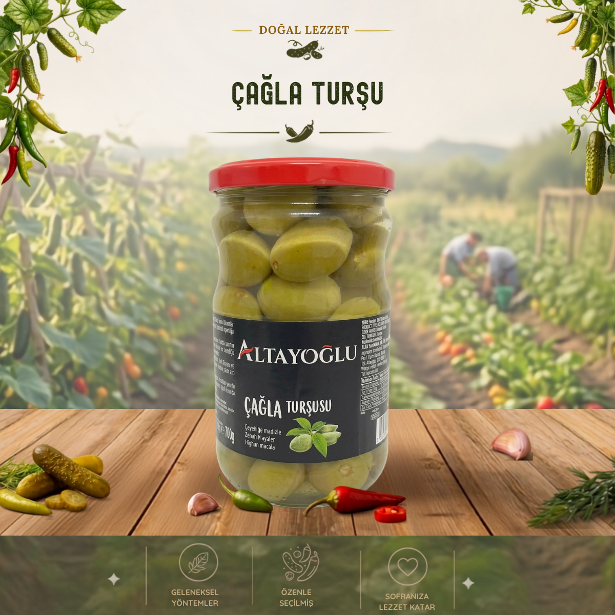 660 CC KAVANOZ ÇAĞLA TURŞU