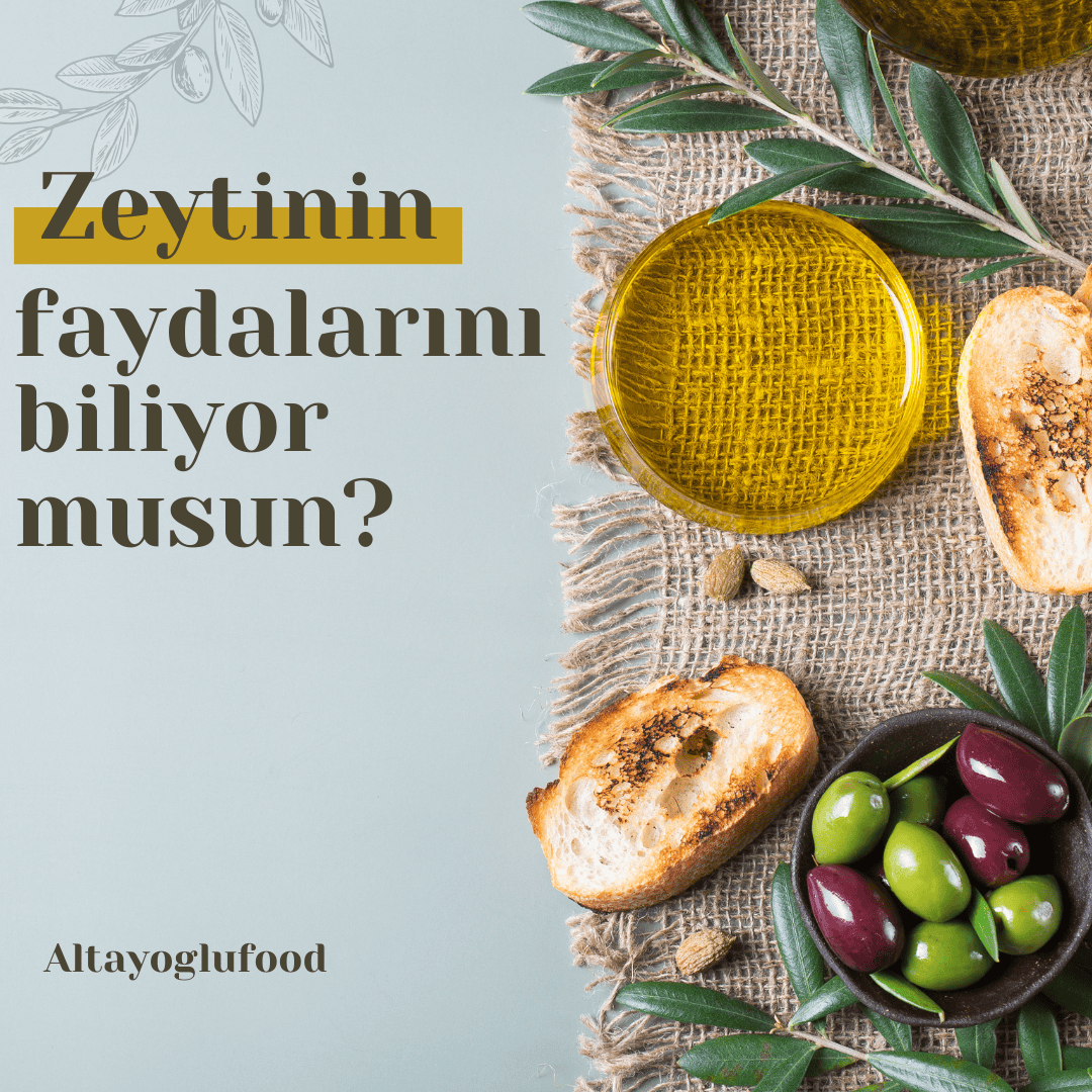 Home altayoglufood 3