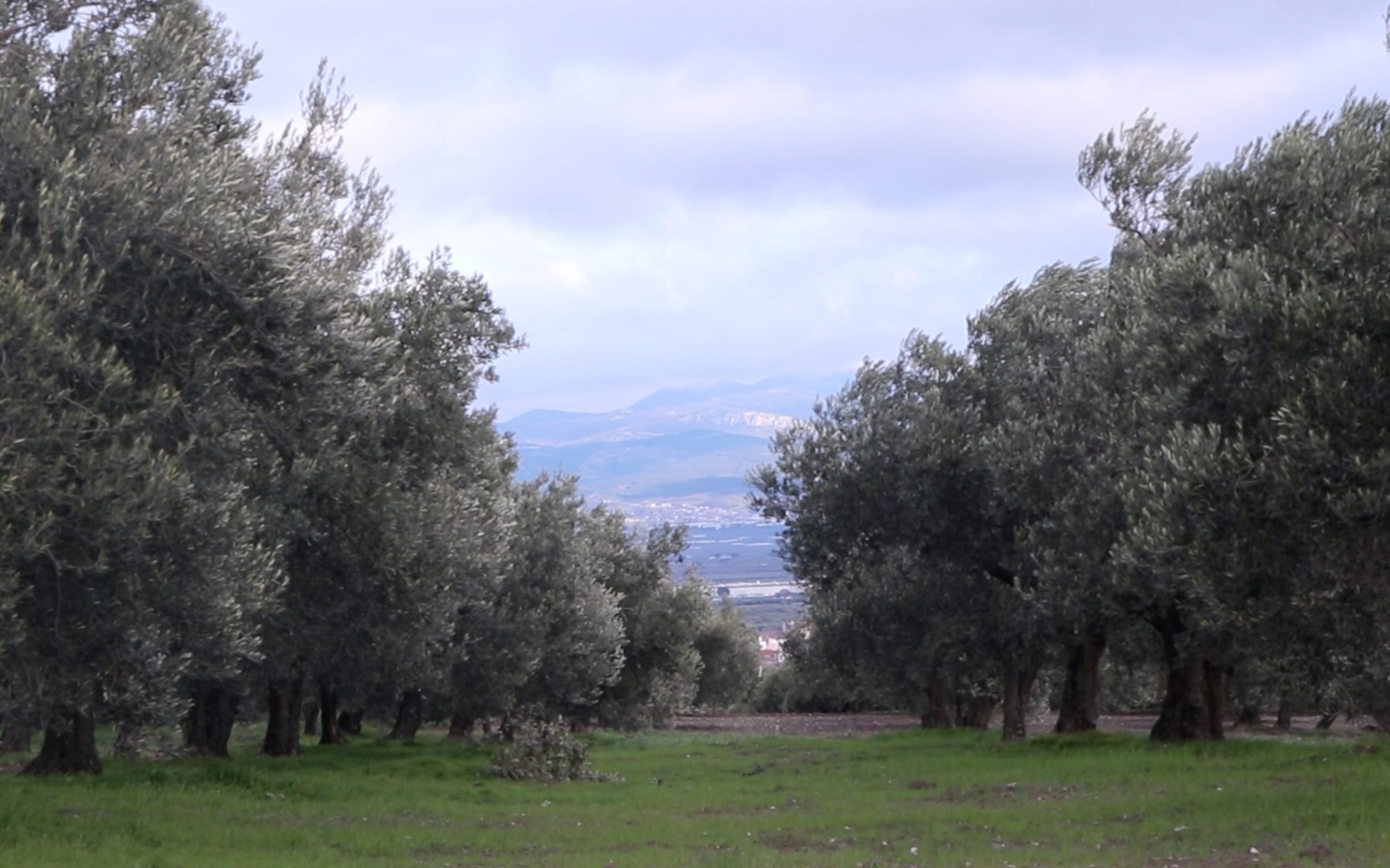 ekran resmi 2024 07 19 17.11.33 2