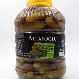 10/1 kg pet 3 no salatalik turŞu (2)